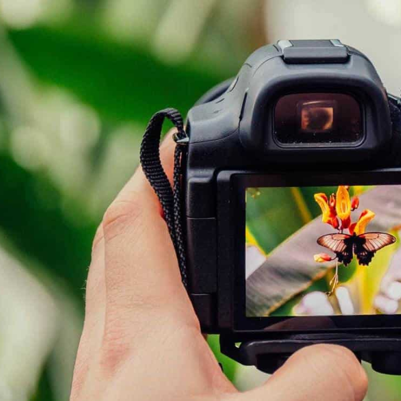tomando foto